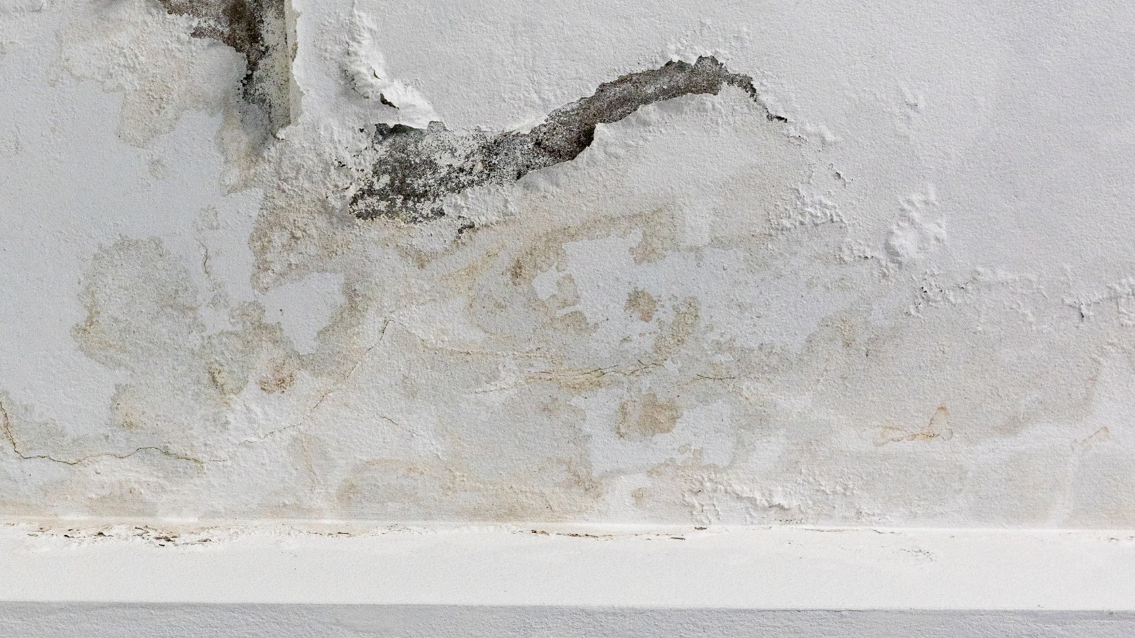 Best Home Waterproofing Company in Belton