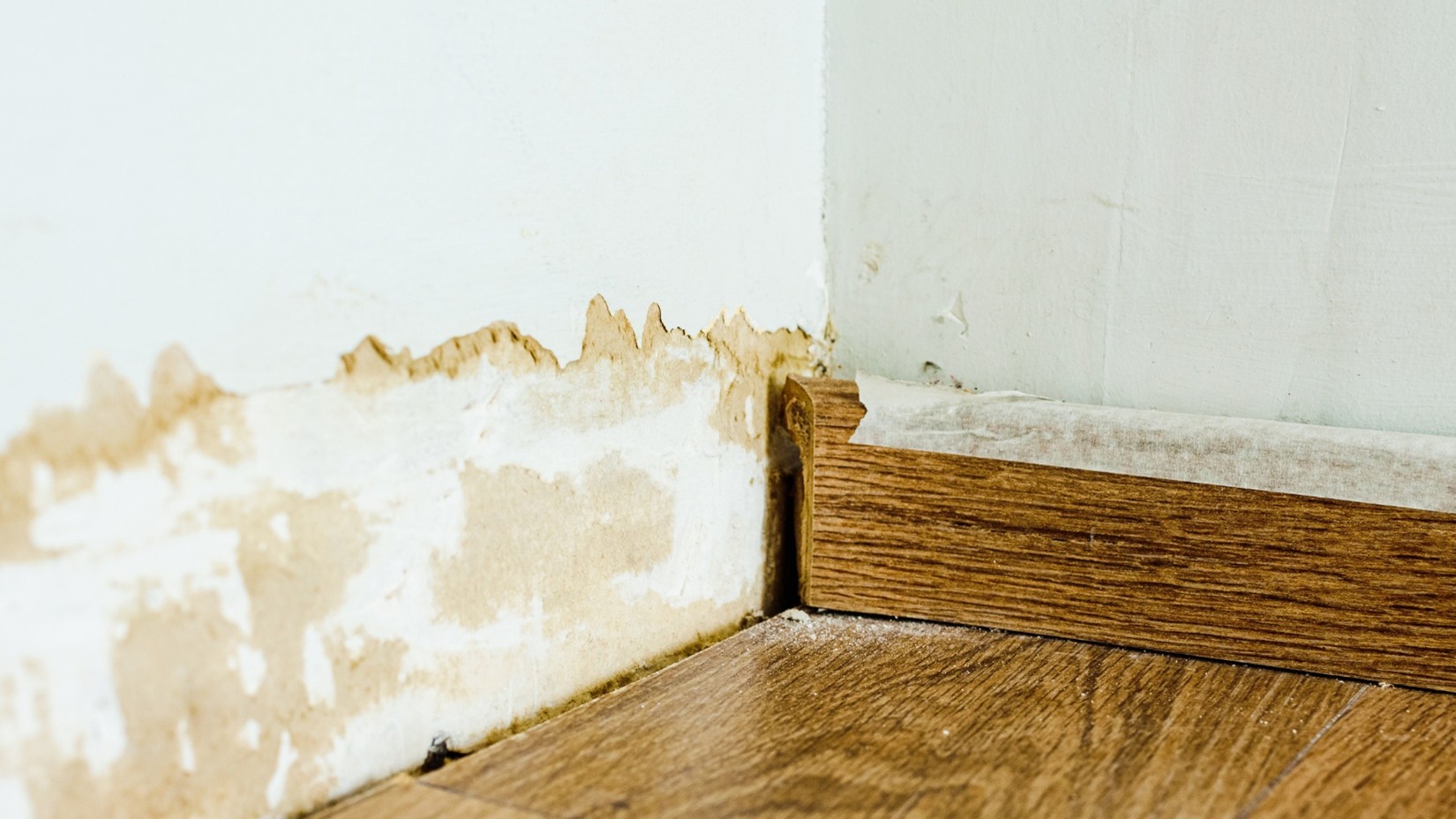 Best Home Waterproofing Company in Leawood