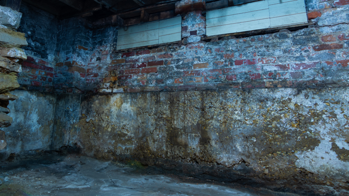 Home Waterproofing Company in Belton